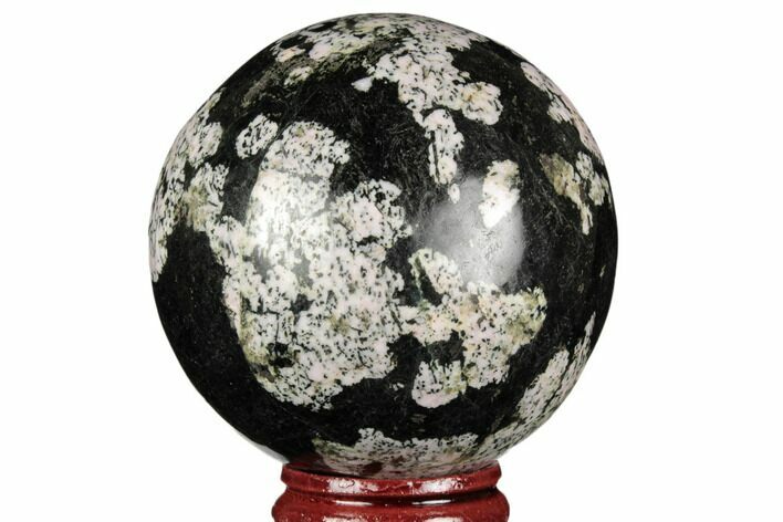 Polished Snowflake Stone Sphere - Pakistan #187577